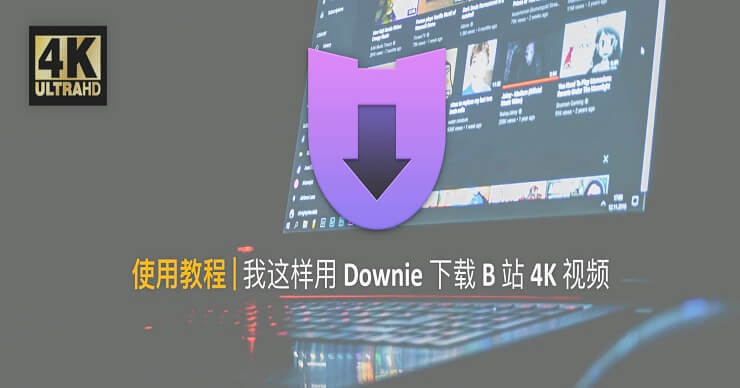 ʹ Downie  B վ 4K Ƶ