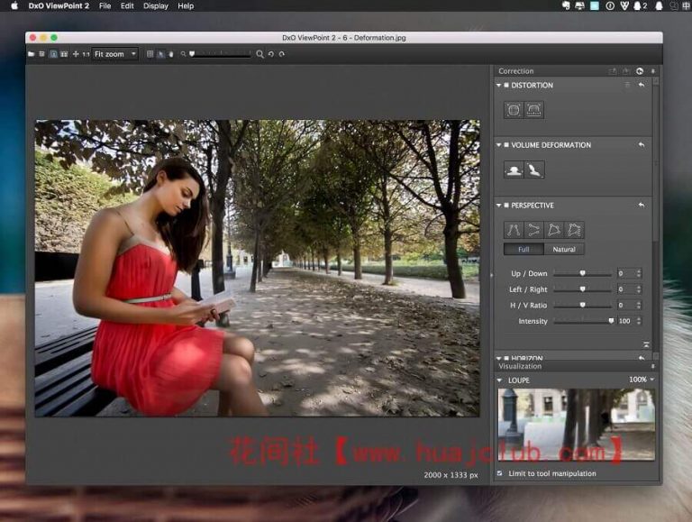 DxO ViewPoint 4.10.0.250 download the last version for mac