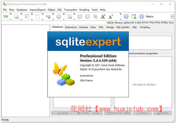 SQLiteݿ SQLite Expert Professional 5.4.42.587 x86/x64ɫƽ