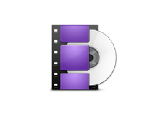 WonderFox DVD Ripper Pro v22.0 DVDӰץȡת