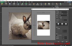 NCH DrawPad Pro 10.43 for windows download